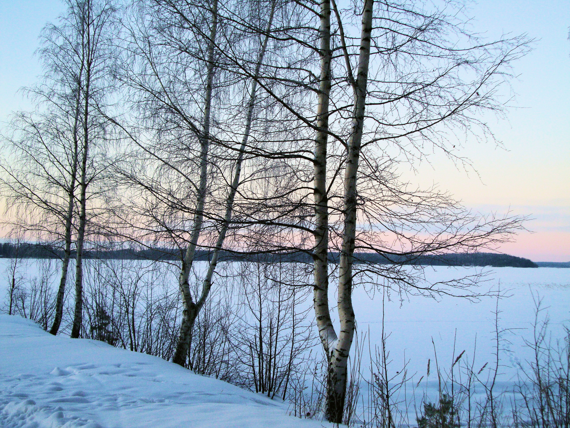 Tapahtuman oletuskuva