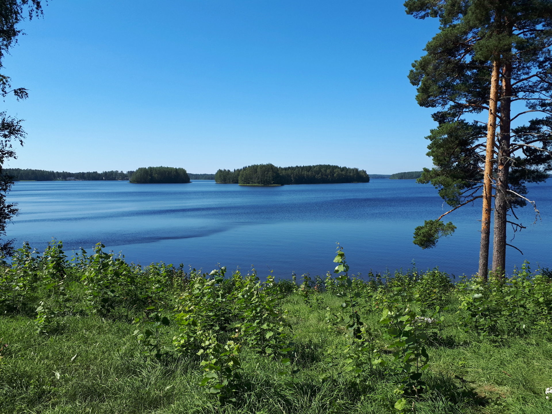 Tapahtuman oletuskuva